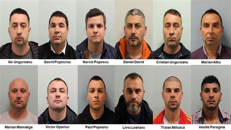 romanian mafia groups.